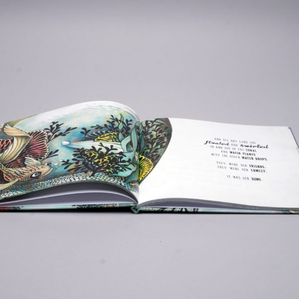Book Preview – the little water drop